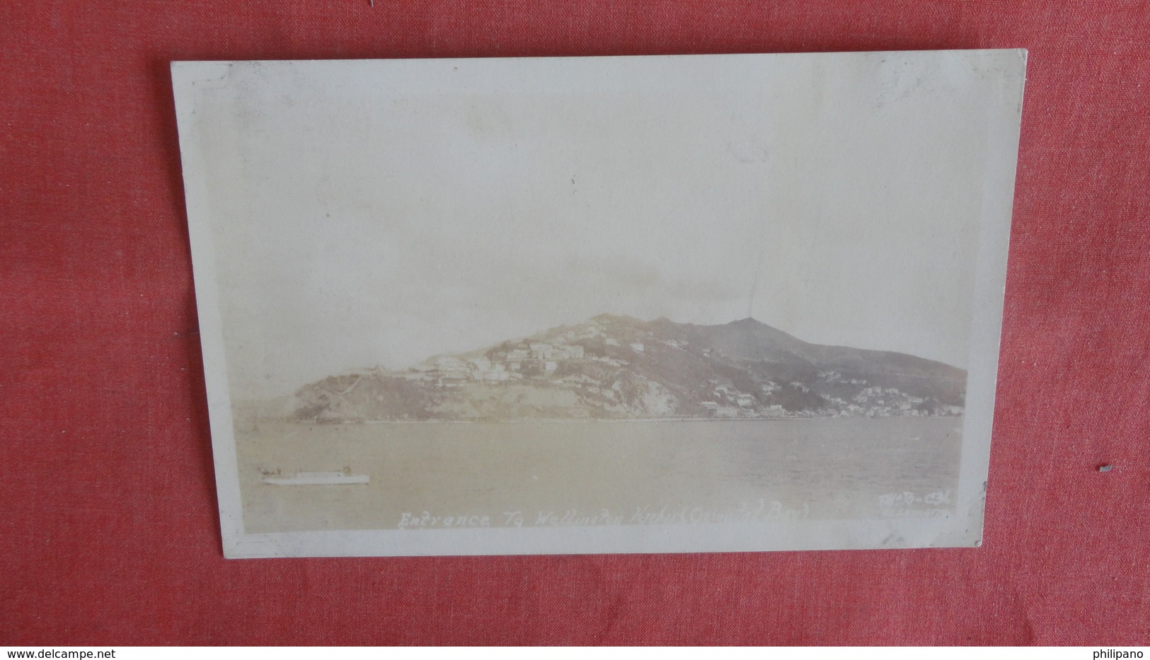 New Zealand  Wellington   RPPC === Ref 2461 - New Zealand