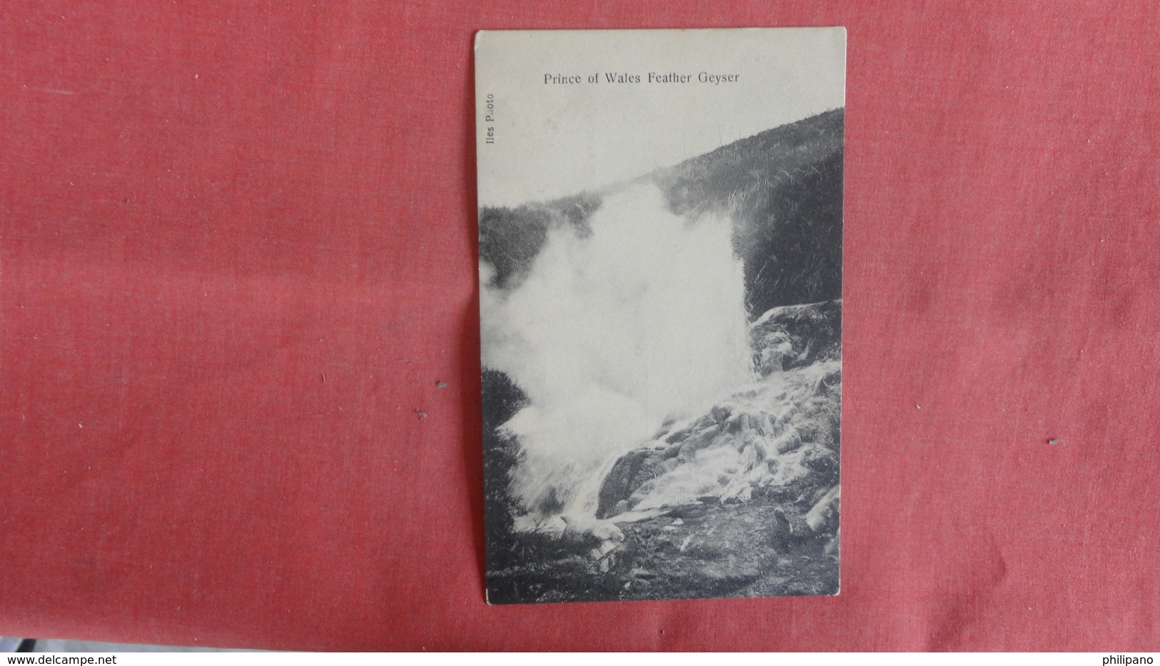 New Zealand = Prince Of Wales Feather Geyser   Ref 2461 - New Zealand