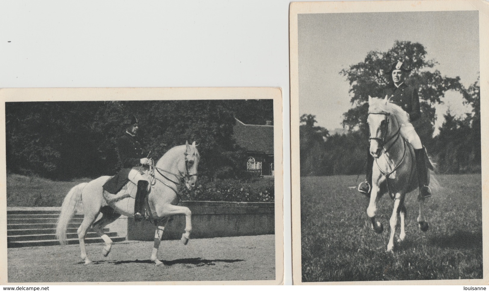 17 / 1 / 275  -    2   CPM  ( Grd. Mod. )  SPANISCHE  REITSCHULE  WIEN - Chevaux