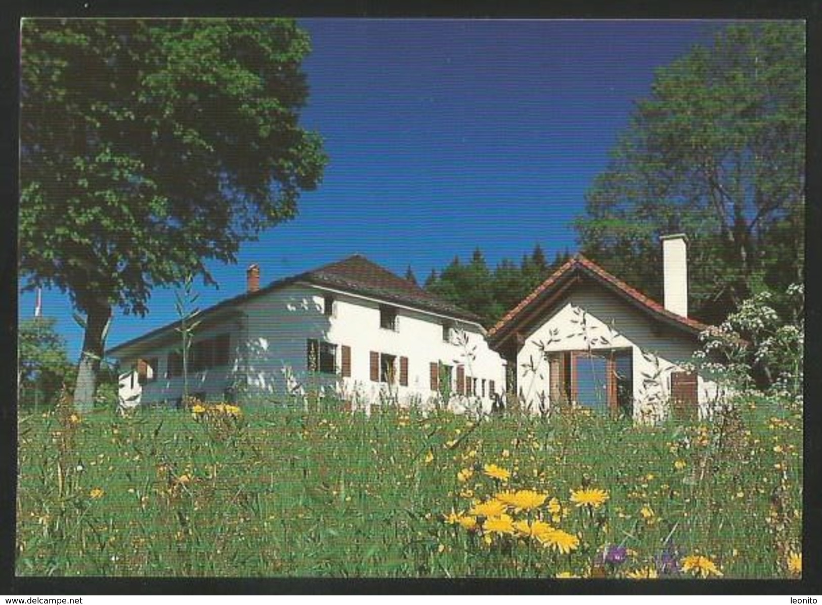 MONT-DE-BUTTES Val-de-Travers Maison BELLEVUE 2005 - Buttes 