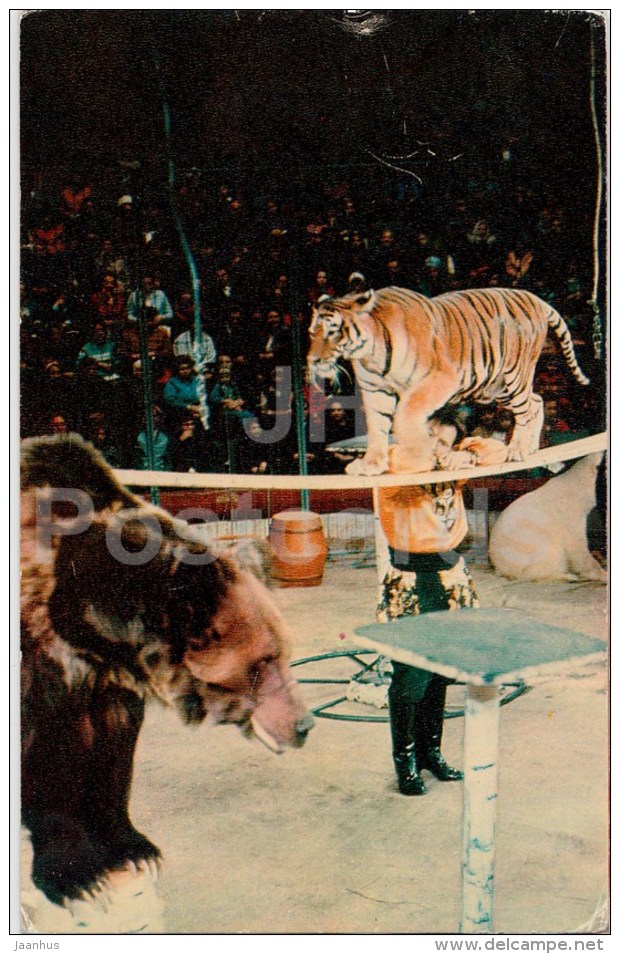 Tamer Ivan Ruban - Bear - Tiger - Animals In Circus - 1975 - Russia USSR - Unused - Circo