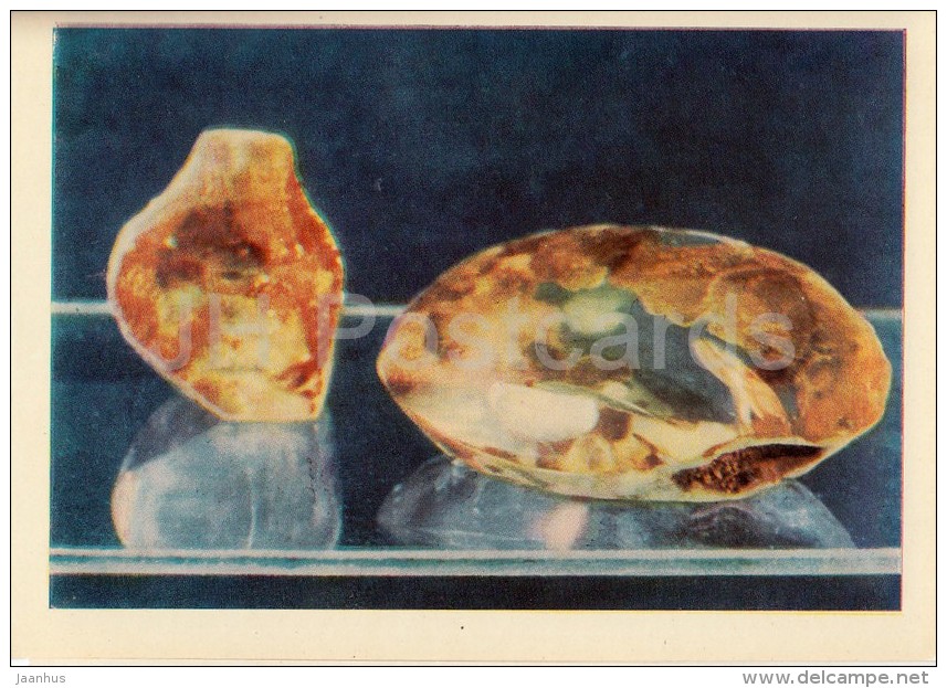 Lithuanian Amber - Palanga - Lithuania USSR - Unused - Lituanie