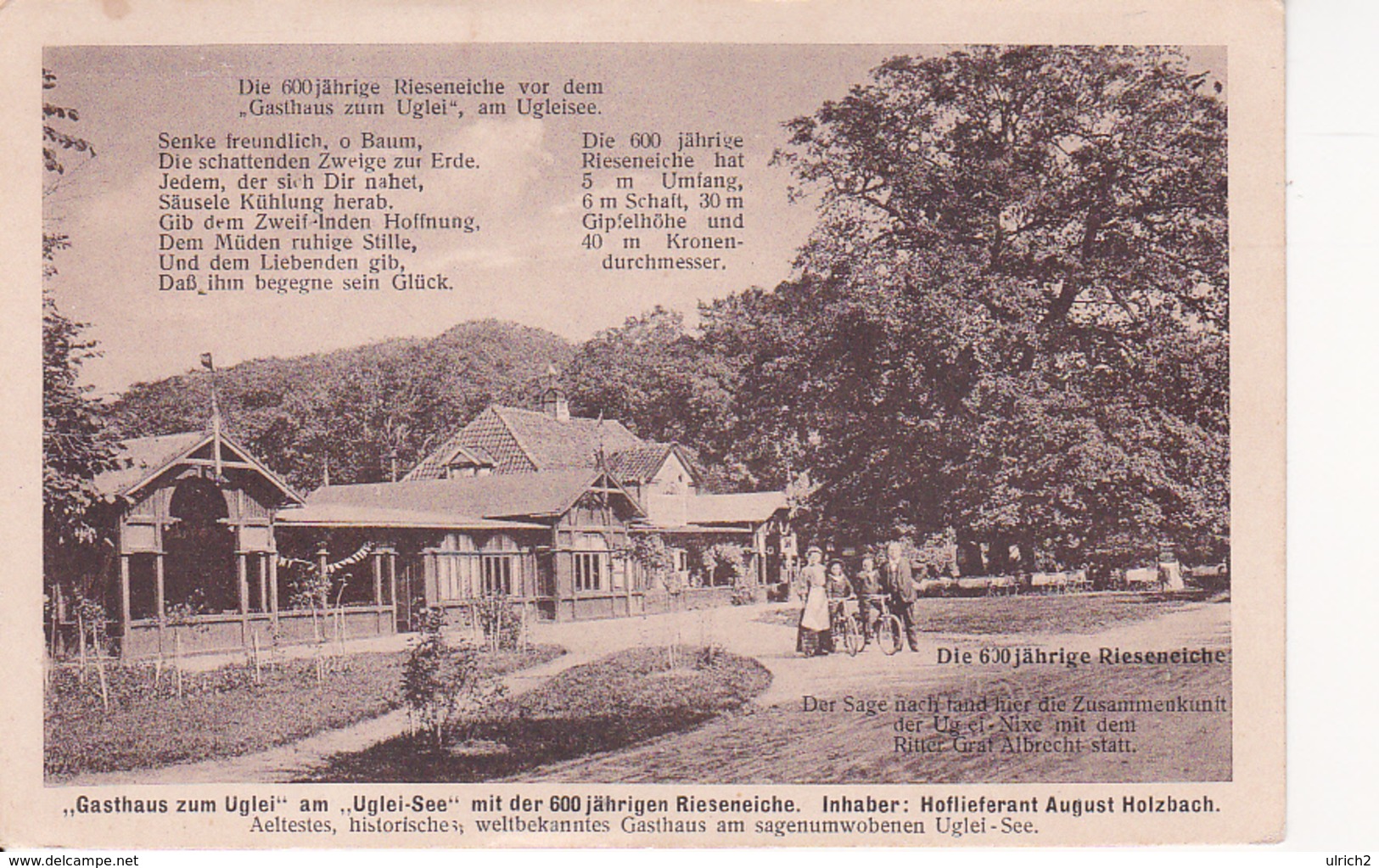 AK Ukleisee - Gasthaus Zum Uglei - Rieseneiche - 1924 (26784) - Eutin