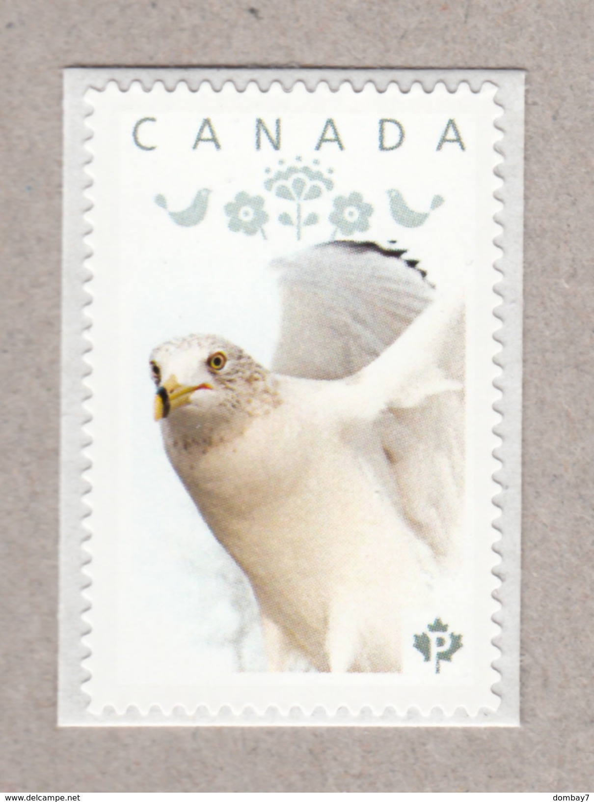 SEAGULL Personalized Postage Stamp MNH Canada 2017 [p17-01bd63] - Seagulls