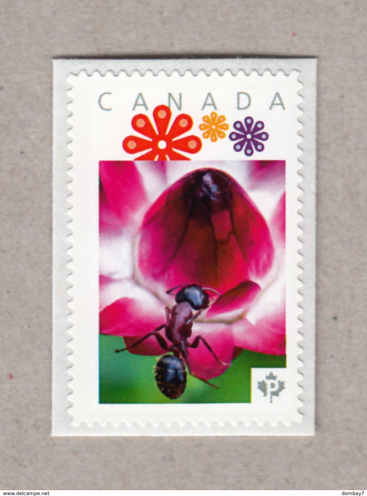 ANT On Flower Personalized Postage Stamp MNH Canada 2017 [p17-01s6] - Other & Unclassified