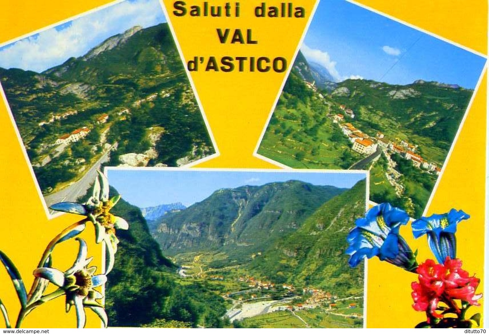 Saluti Dalla Val D'astico - Vicenza - 345 - Formato Grande Non Viaggiata - E - Vicenza