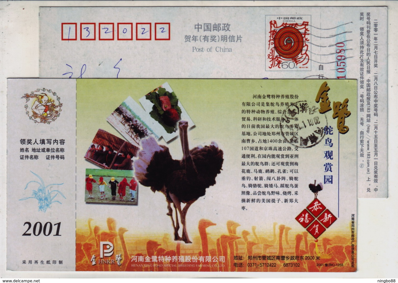 Ostrich Ornamental Farm,China 2001 King Road Special Breeding Farming Company Advertising Pre-stamped Card - Autruches