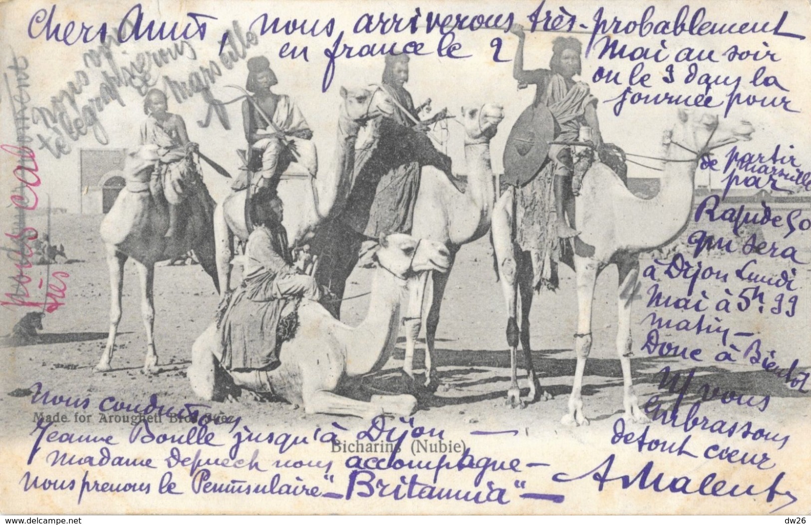 Bicharins Sur Leurs Chameaux - Nubie - Made For Arougheti Bros Suez - Carte Précurseur - Afrique