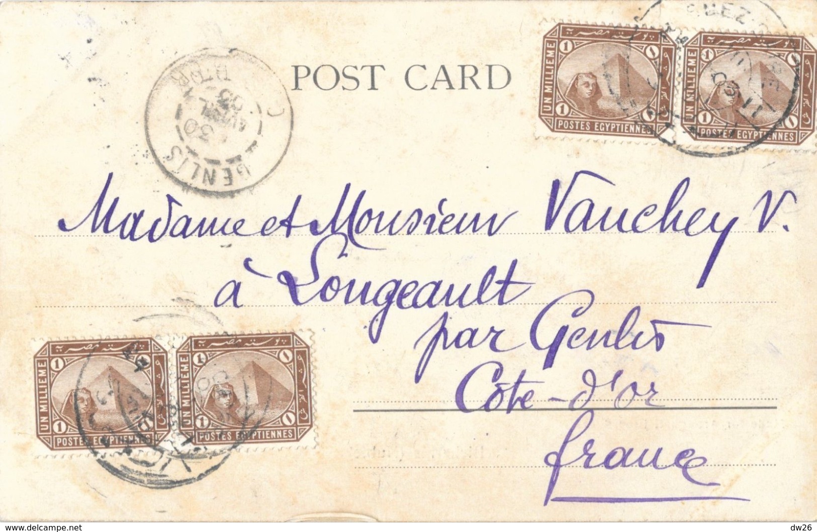 Bicharins Sur Leurs Chameaux - Nubie - Made For Arougheti Bros Suez - Carte Précurseur - Afrique