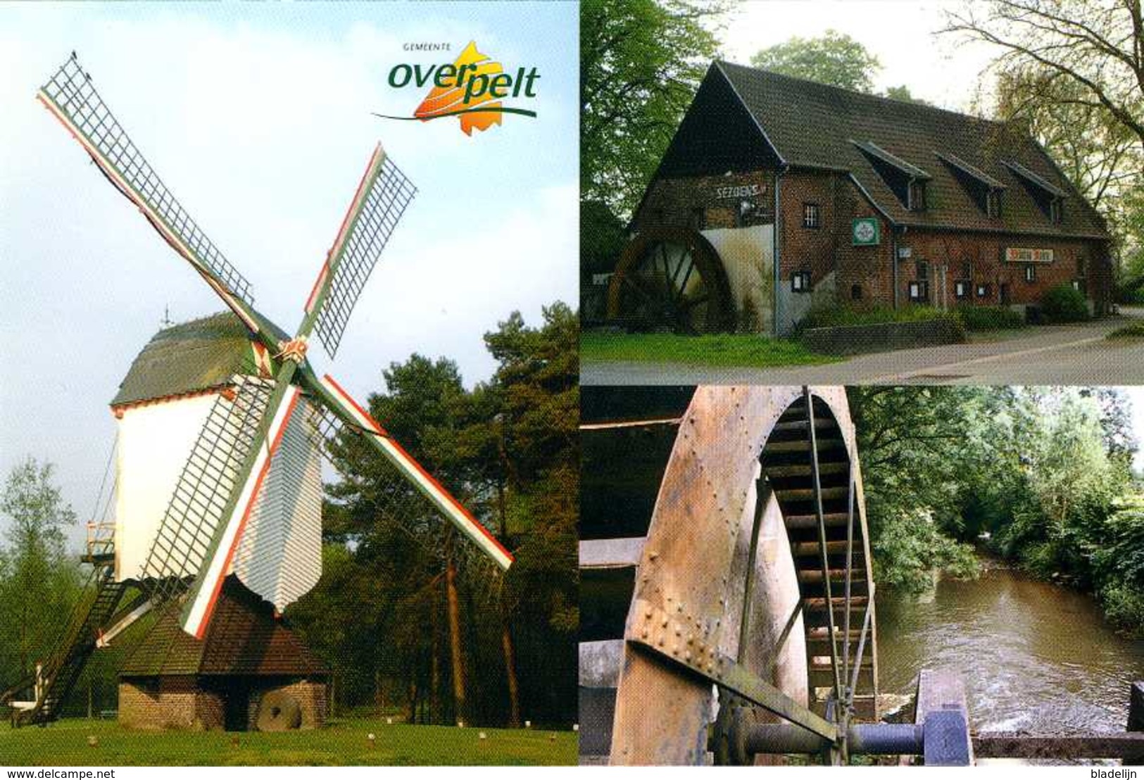 OVERPELT (Limb.) - Molen/moulin - Drie Molens Van De Gemeente Overpelt O.a. Sevensmolen En Wedelse Molen - Overpelt