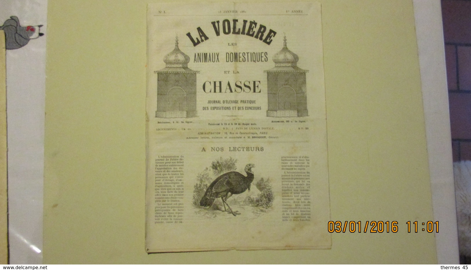 Numéro 1 De La Volière, Les Animaux Domestiques Et La Chasse / 15 Janvier 1881 - Revues Anciennes - Avant 1900