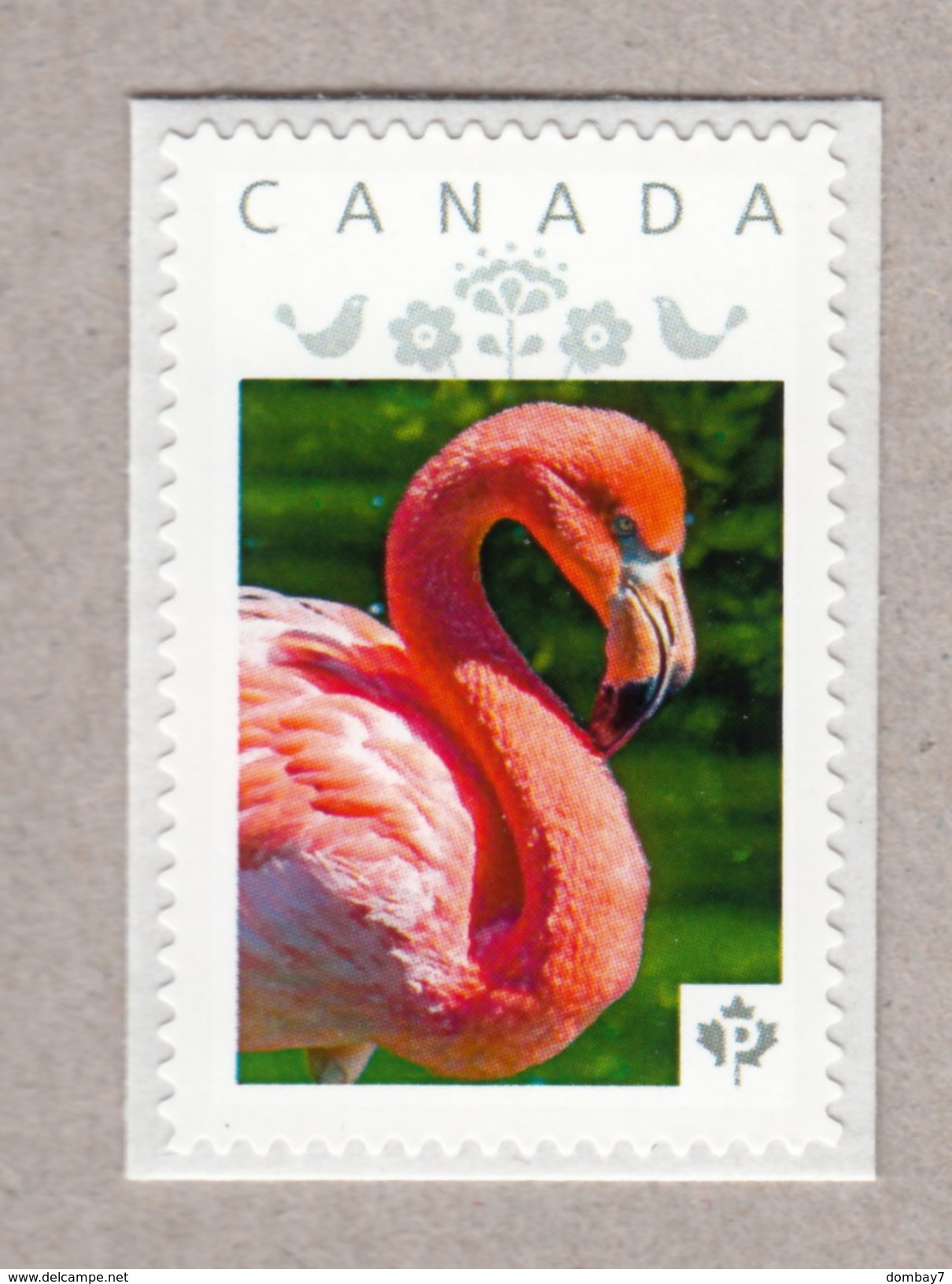 PINK FLAMINGO Personalized Postage Stamp MNH Canada 2017 [p17-01bd64] - Flamants