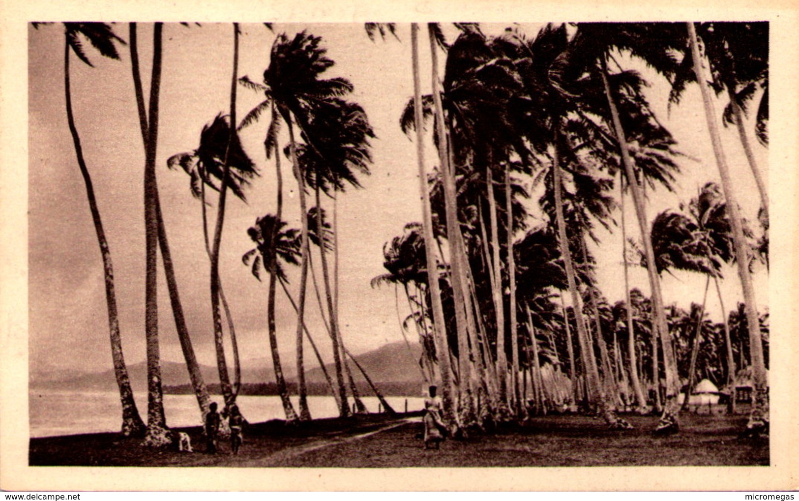 Un Orage Sur Samoa - Samoa