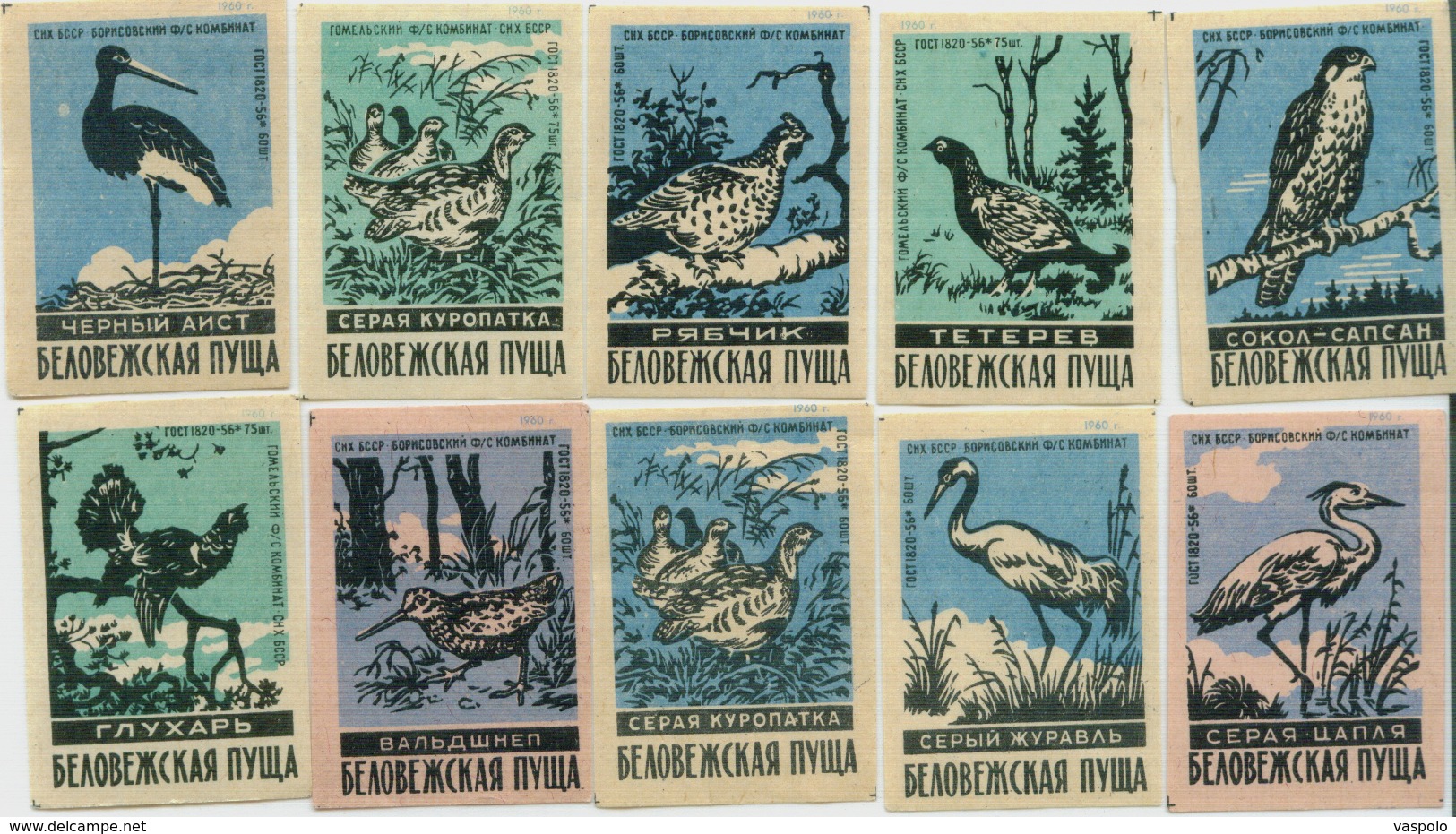 MATCHBOX LABELS RUSSIA CCCP URSS 1960's BIRDS OF RUSSIAN FOREST - Collections