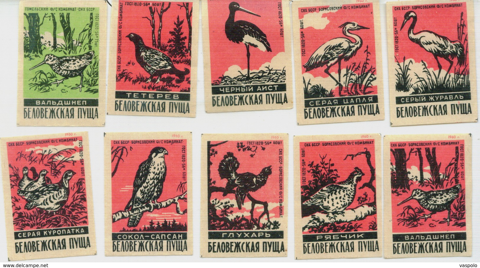 MATCHBOX LABELS RUSSIA CCCP URSS 1960's BIRDS OF RUSSIAN FOREST - Collections