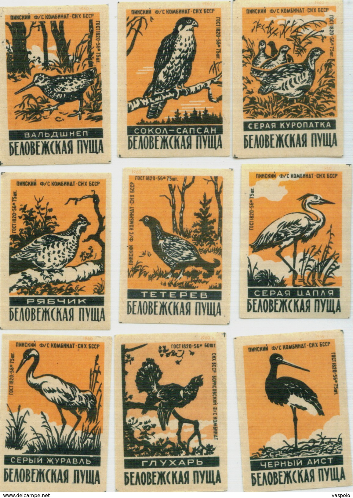 MATCHBOX LABELS RUSSIA CCCP URSS 1960's BIRDS OF RUSSIAN FOREST - Collections