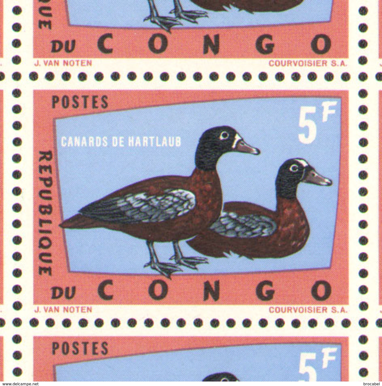 Congo 0489 - 5F Canards De Hartlaub -   Sheet-  Feuille De 100** -MNH- - Autres & Non Classés