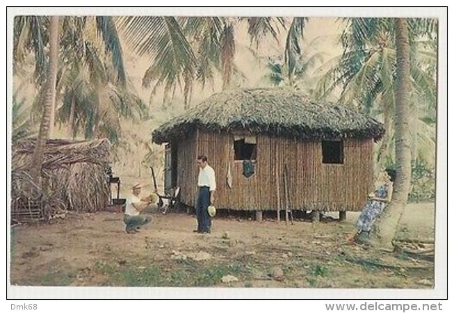 PUERTO RICO - A BAHIO IN THE COCUNUT GROVE - 1960s/70s  (110 ) - Autres & Non Classés