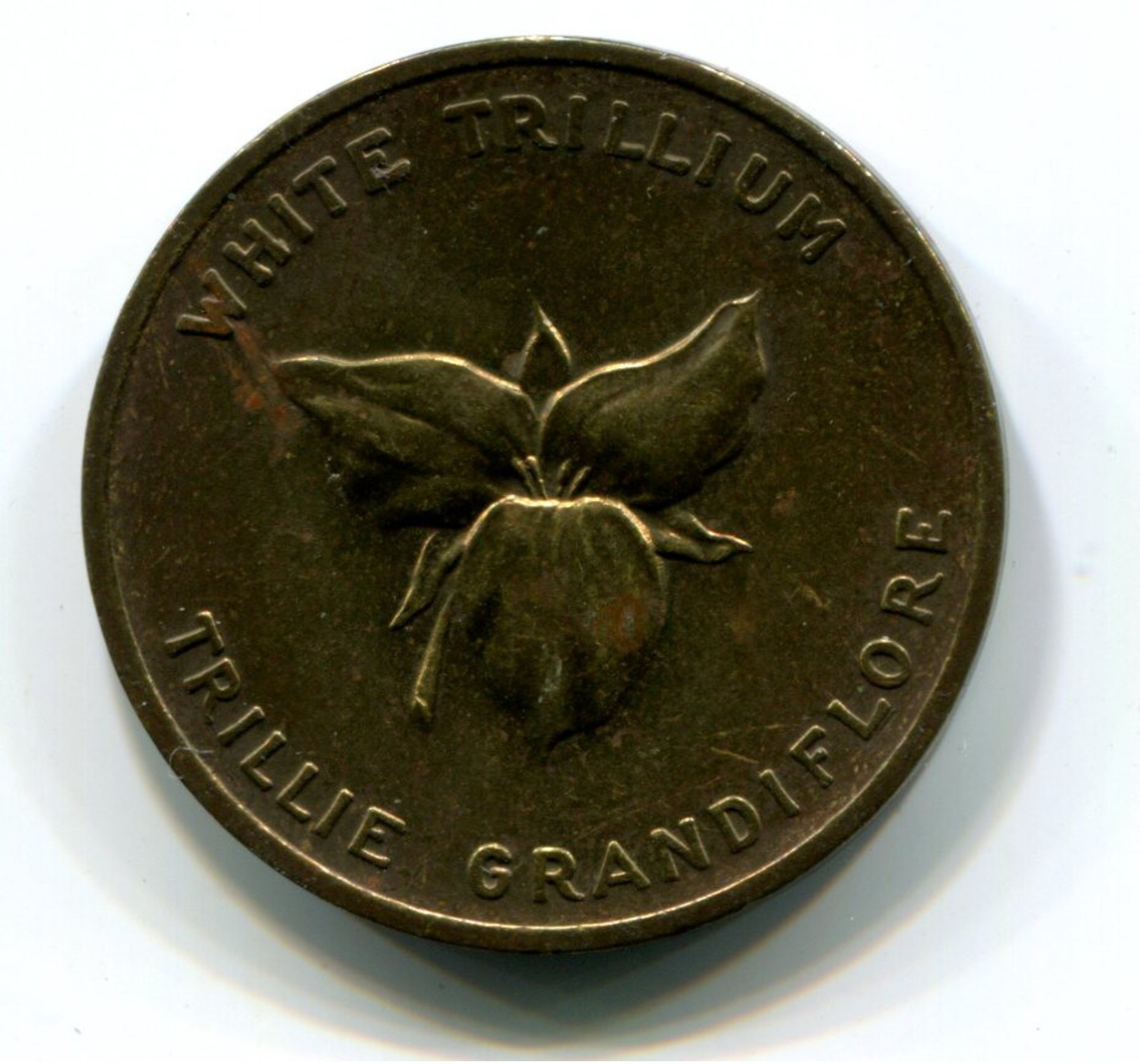 Ontario Canada White Trillium Medal - Sonstige & Ohne Zuordnung