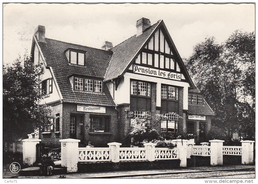 Belgique - Knokke-le-Zoute - Pension "Les Loris" 48-50 Avenue Du Littoral - Knokke