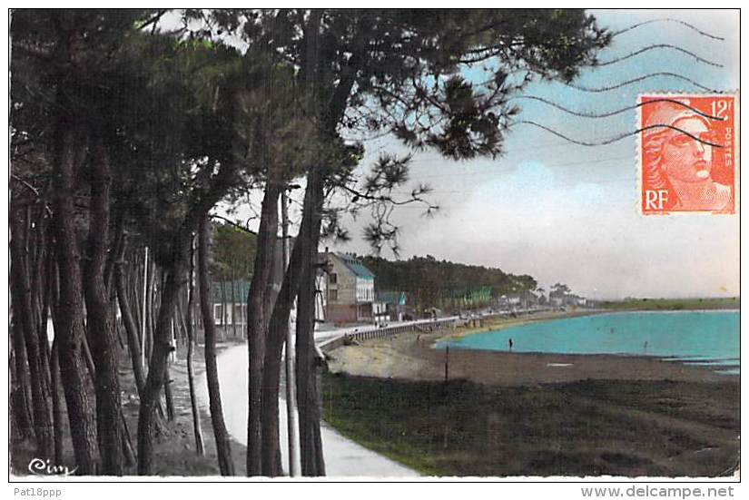 17 - MARENNES : Un Coin De La Plage - CPSM Dentelée Colorisée Format CPA  -  Charente Maritime - Marennes