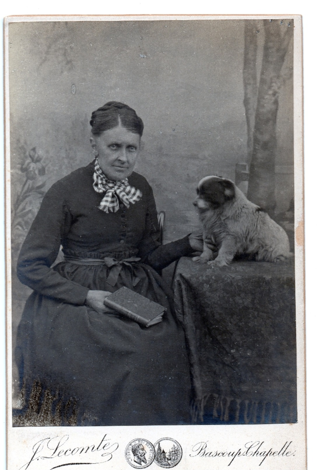 Carte De Visite CDV BRAY Binche Maurage Portrait Assis D'une Dame Au Livre Avec Un Chien Ph. LECOMTE Bascoup Chapelle - Other & Unclassified