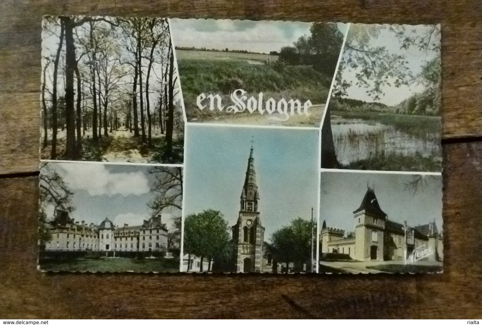 41, EN SOLOGNE, MULTI-VUES, CHATEAU DESALBRIS,EGLISE DE LAMOTTE BEUVRON, LES MUIDS A LA FERTE SAINT AUBIN - Altri