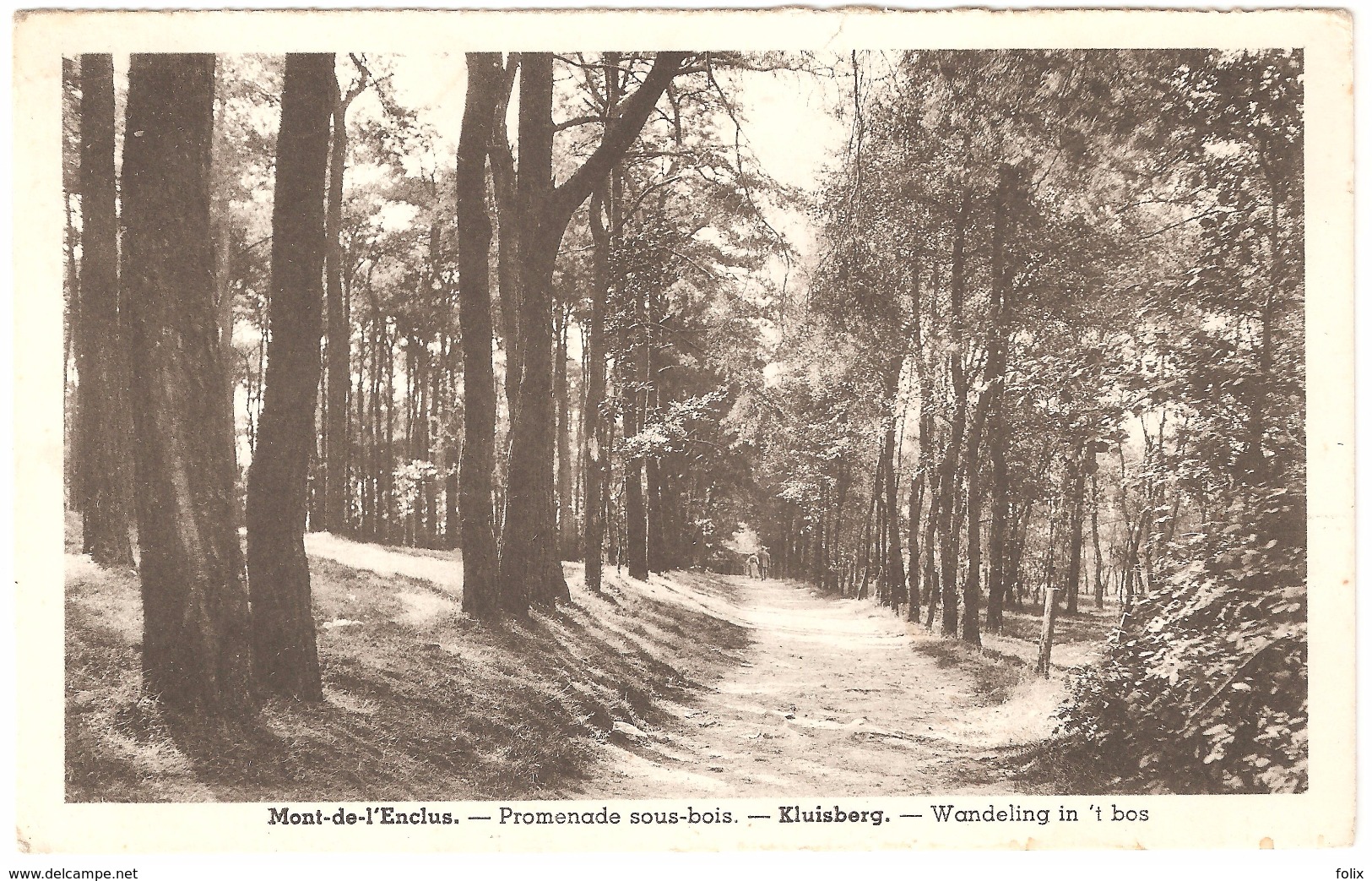 Kluisberg / Mont De L'Enclus - Wandeling In 't Bos / Promenade Sous-bois - Ed. Photo Albert - Kluisbergen