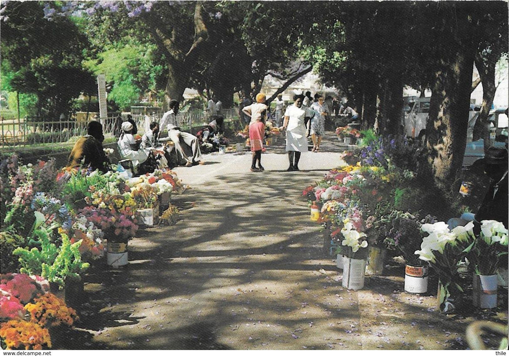 ZIMBABWE - BULAWAYO - Flower Sellers - Photography David Trickett - Simbabwe