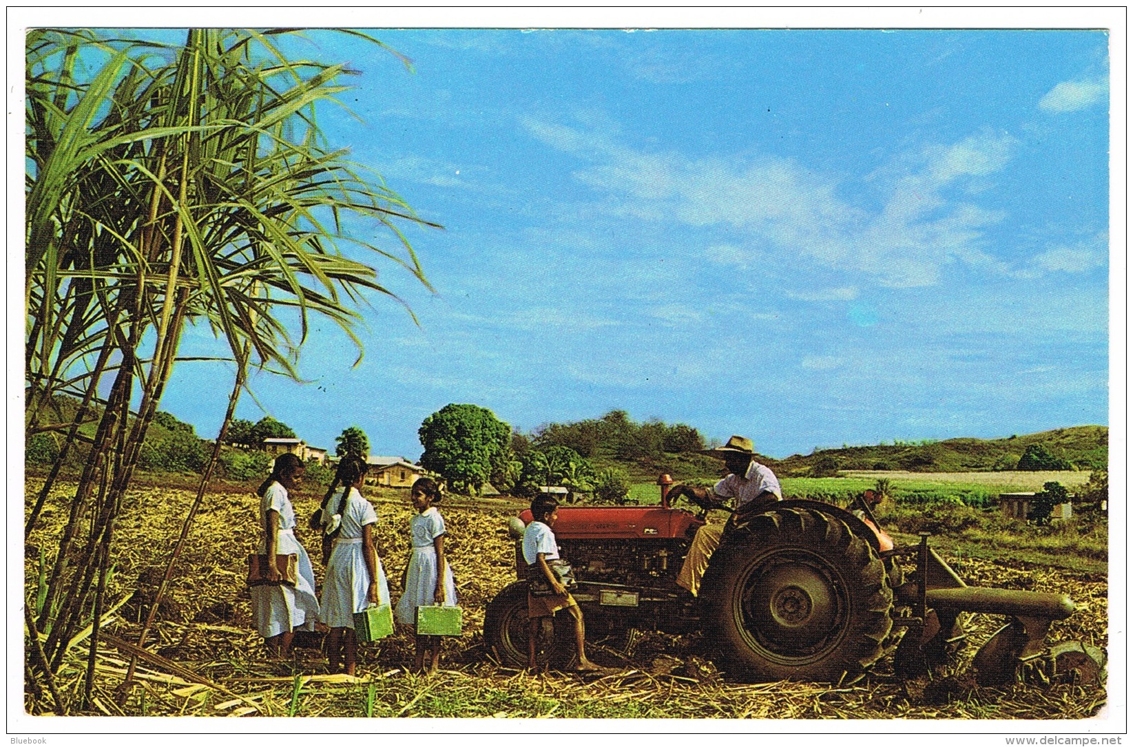 RB 1142 -  1971 Postcard - India Cane Farmer &amp; Tractor Fiji - Pacific Island - Fiji