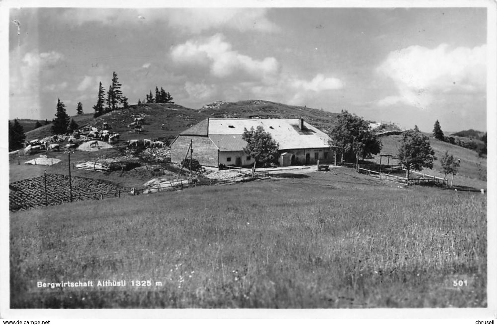 Sennberg Selzach - Selzach