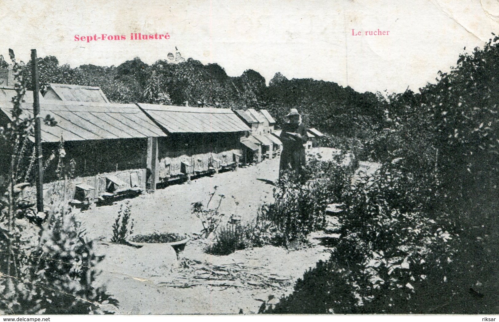 APICULTURE(SEPT FONS) ABEILLE - Autres & Non Classés