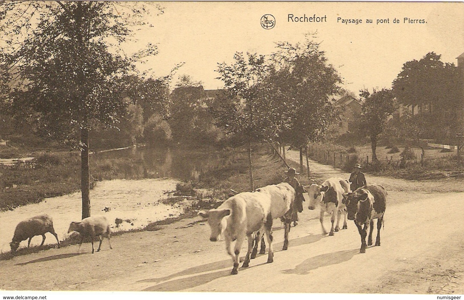 ROCHEFORT    ---   Paysage Au Pont De Pierres - Rochefort