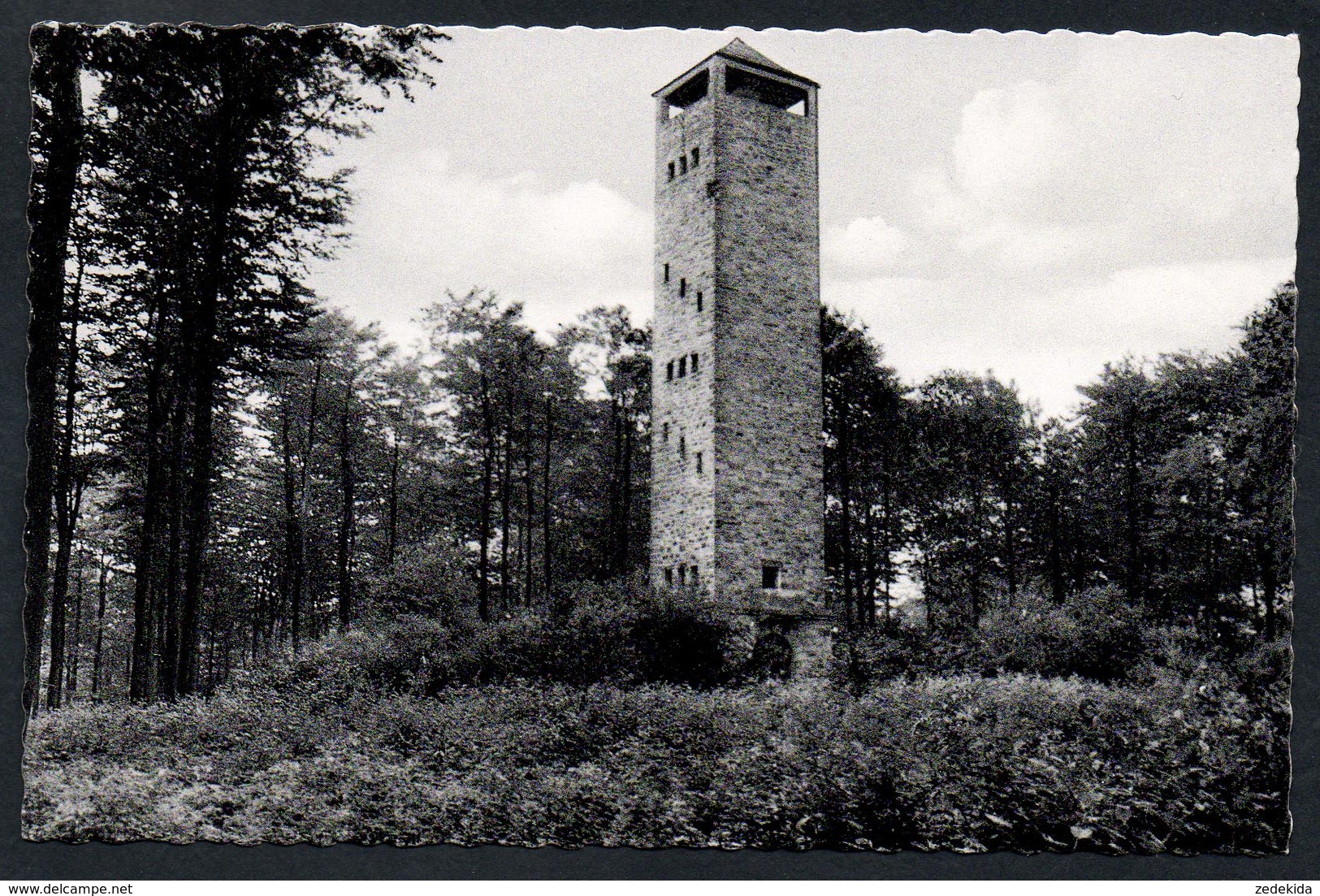 8493 - Alte Foto Ansichtskarte - Uslar Im Solling - Turm Sollingturm - N. Gel TOP - Uslar