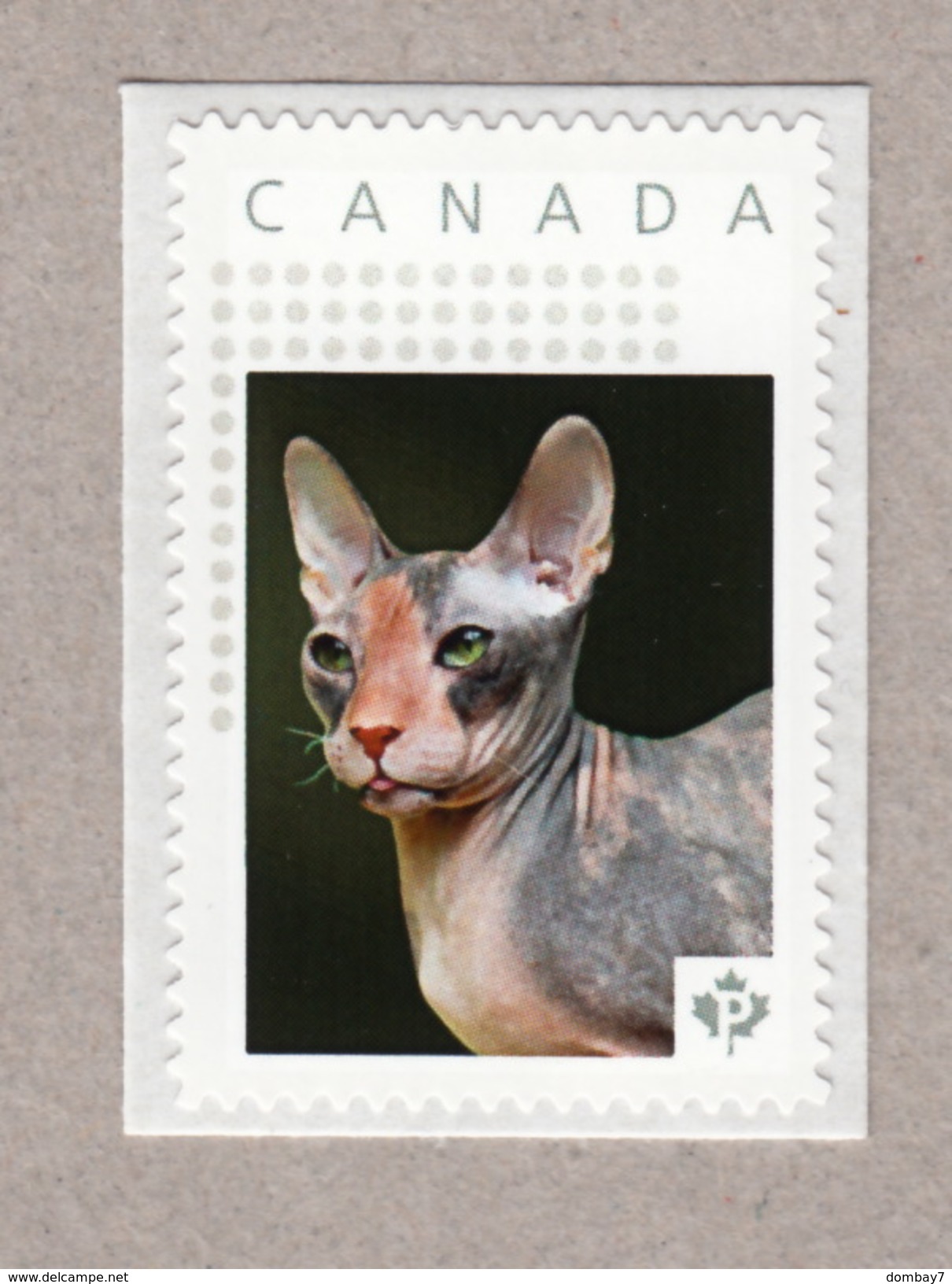 UKRAINIAN LEVCOY Domestic Cat Picture Postage MNH Stamp Canada 2016 [p16-09dc] - Domestic Cats