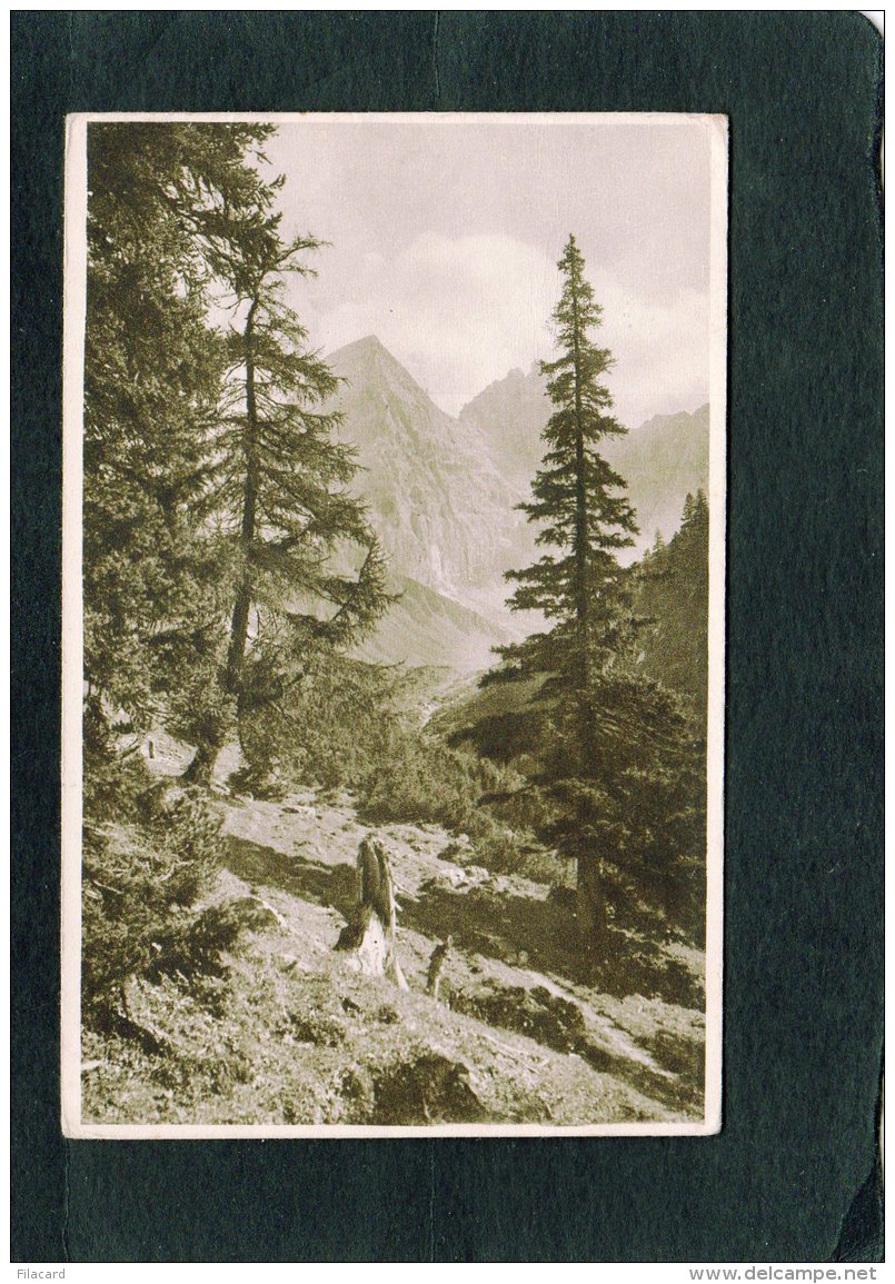 67028     Austria,  Sandestal Mit Gschnitzer- Und  Pflerscher- Tribulaun "Auf Dem  Wege Zur Tribulaunhutte",  VGSB  1931 - Igls