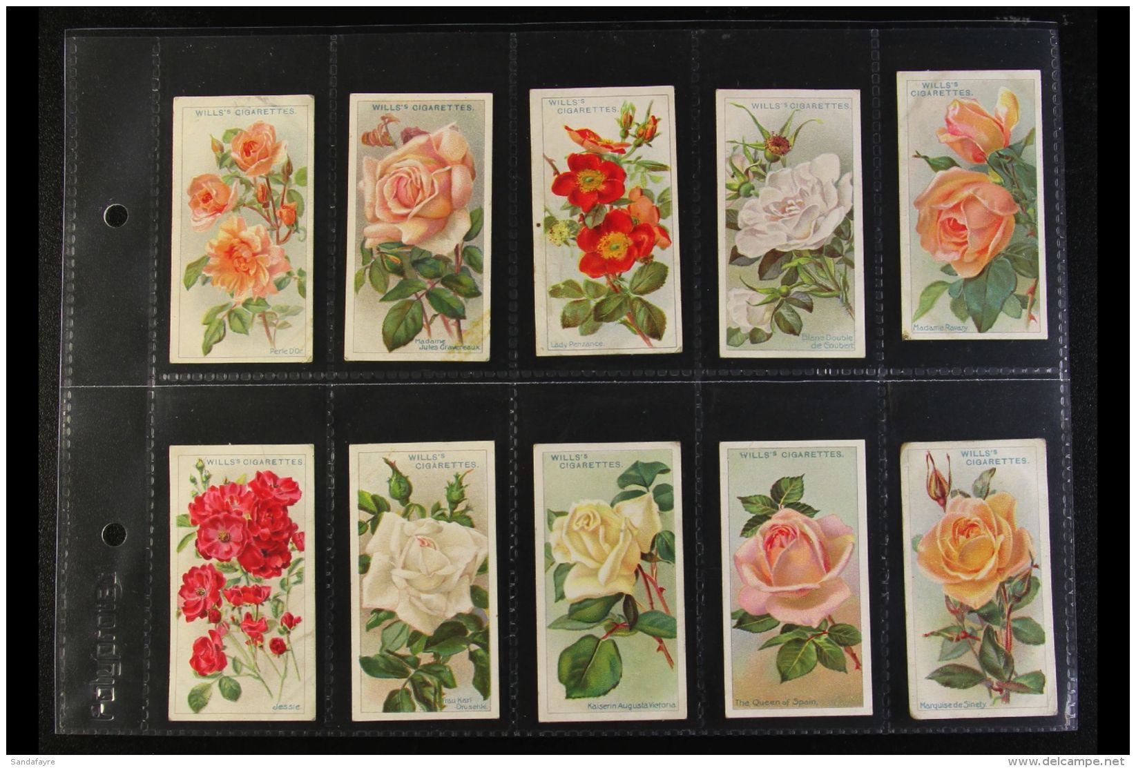 1912 WD &amp; HO WILLS "Roses" Complete Set Of 50 Presented In Modern Sleeve Pages. Mostly Good Condition (50... - Autres & Non Classés