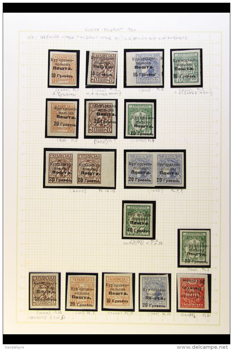 PETLYURA DIRECTORATE 1920 (Aug) FIELD POST Stamps, A Beautiful Collection Of These Imperforate Stamps With... - Ucrania