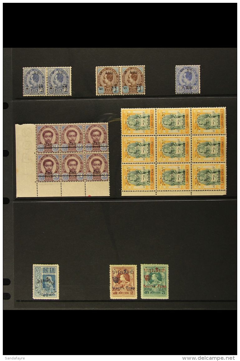 1905-25 MINT SELECTION On A Stock Page. Includes 1905 Surcharge Set As Pairs, 1907 1a On 24a Corner Block Of 6 -... - Thailand