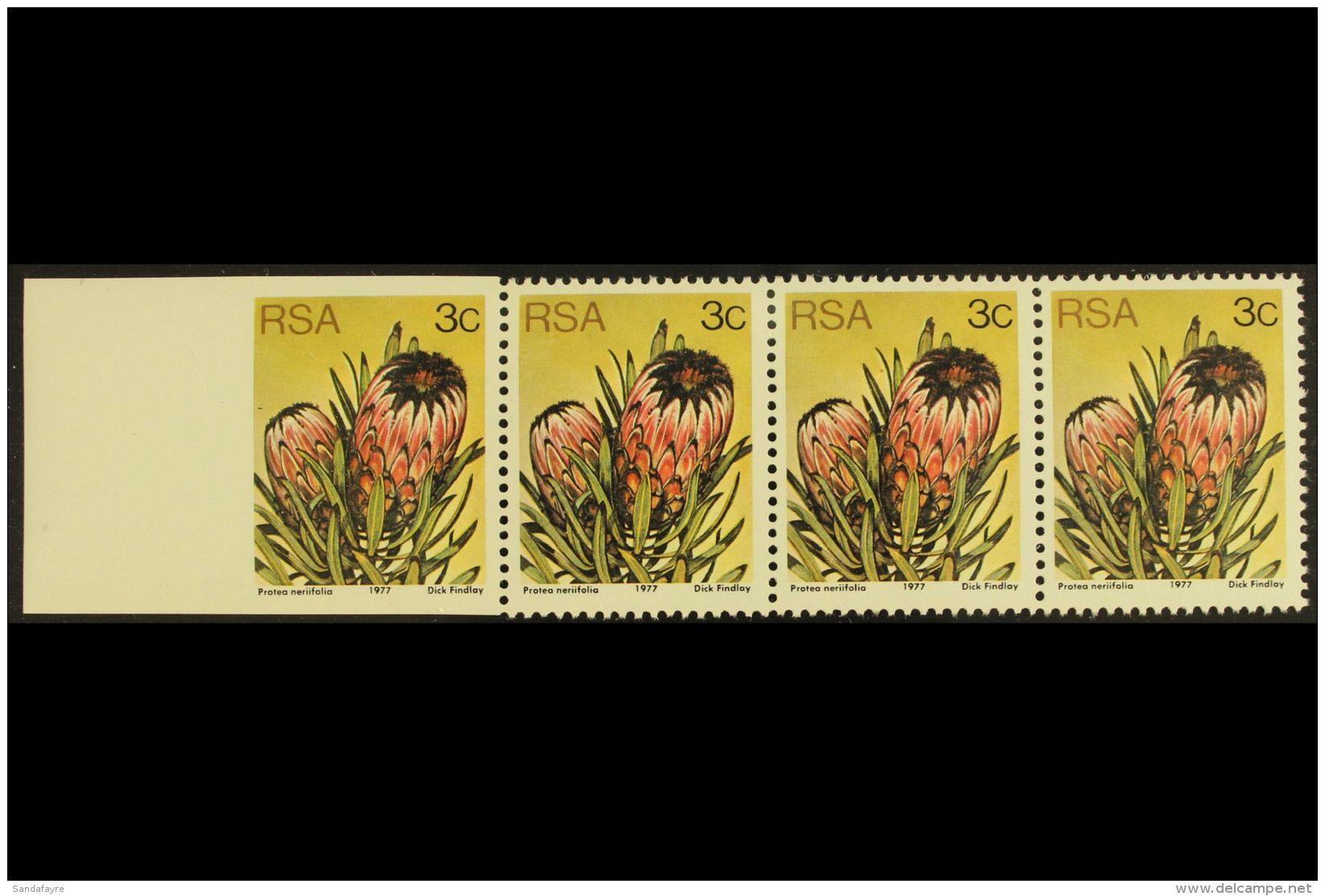 RSA VARIETY 1977-82 3c Protea, Perf.14x13&frac12;, Left Marginal Strip Of Four, LEFT STAMP IMPERFORATE ON 3 SIDES,... - Ohne Zuordnung