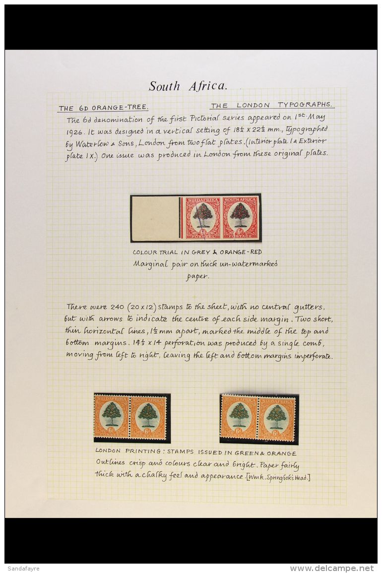 1926-51 STUDY COLLECTION OF THE 6D ORANGE TREE ISSUES A Lovely Lot Attractively Written Up On Pages, With 1926-27... - Non Classés