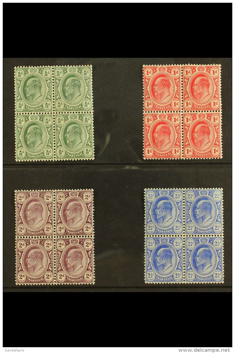 TRANSVAAL 1905-09 KEVII Set, SG 273/76, In Very Fine Mint BLOCKS OF FOUR, Three Stamps In Each Block Never Hinged.... - Sin Clasificación