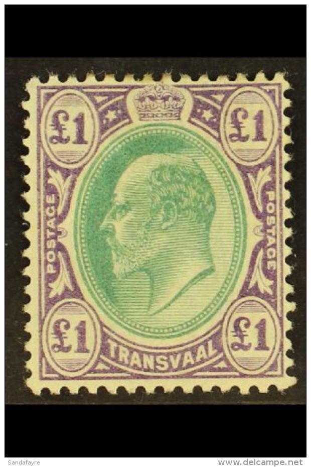 TRANSVAAL &pound;1 Green &amp; Violet, SG 258, Fine Mint, Fresh. For More Images, Please Visit... - Ohne Zuordnung