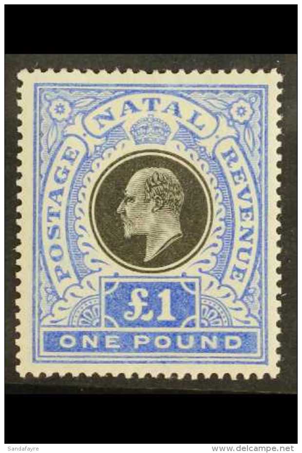NATAL 1902 &pound;1 Black And Bright Blue, SG 142, Very Fine Mint. For More Images, Please Visit... - Ohne Zuordnung