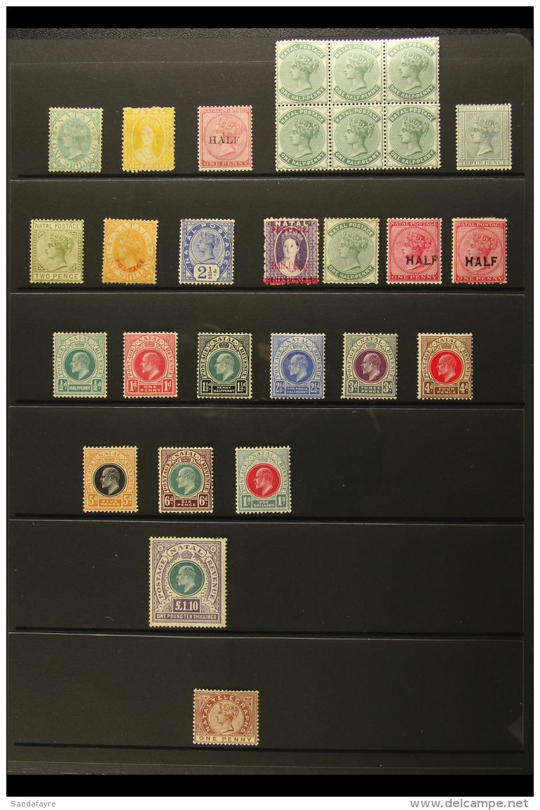 NATAL 1867-1908 MINT SELECTION On A Stock Page. Includes 1867 1s, 1877 &frac12;d On 1d, 1882-89 &frac12;d Nhm... - Non Classés