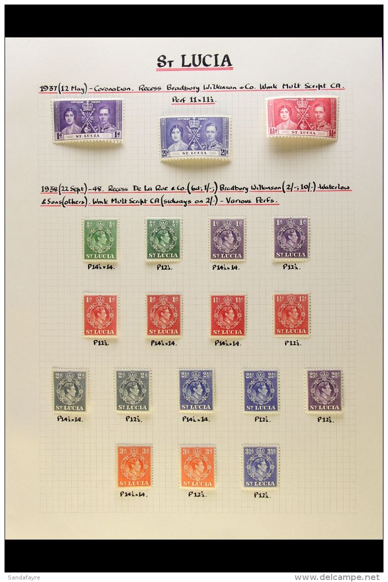 1937-1951 COMPLETE SUPERB MINT COLLECTION On Leaves, All Different, Inc 1938-48 Set With All Perf Types &amp; Both... - St.Lucia (...-1978)