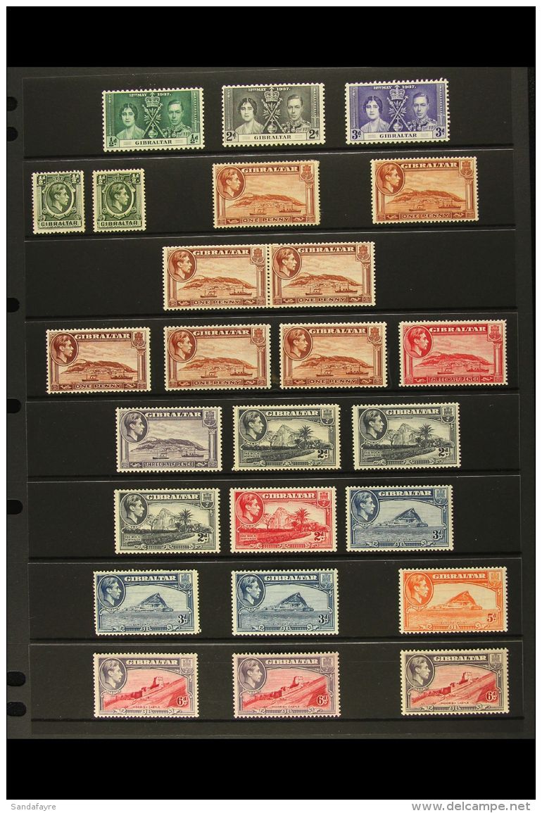 1937-51 FINE MINT COLLECTION On Stock Pages. Inc 1937 Coronation Set, 1938-51 Complete Defin Set Of Each Value To... - Gibraltar