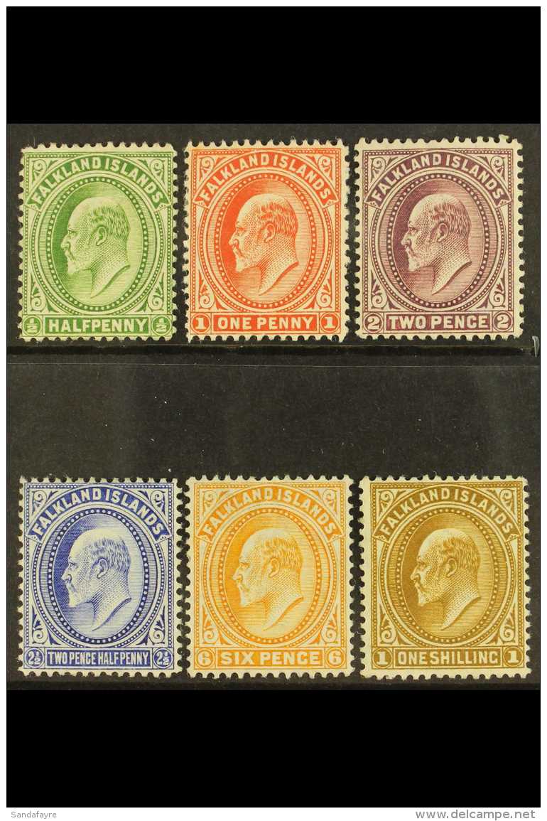 1904-12 &frac12;d To 1s Set Complete, SG 43/48, Very Fine Mint. (6 Stamps) For More Images, Please Visit... - Falkland Islands