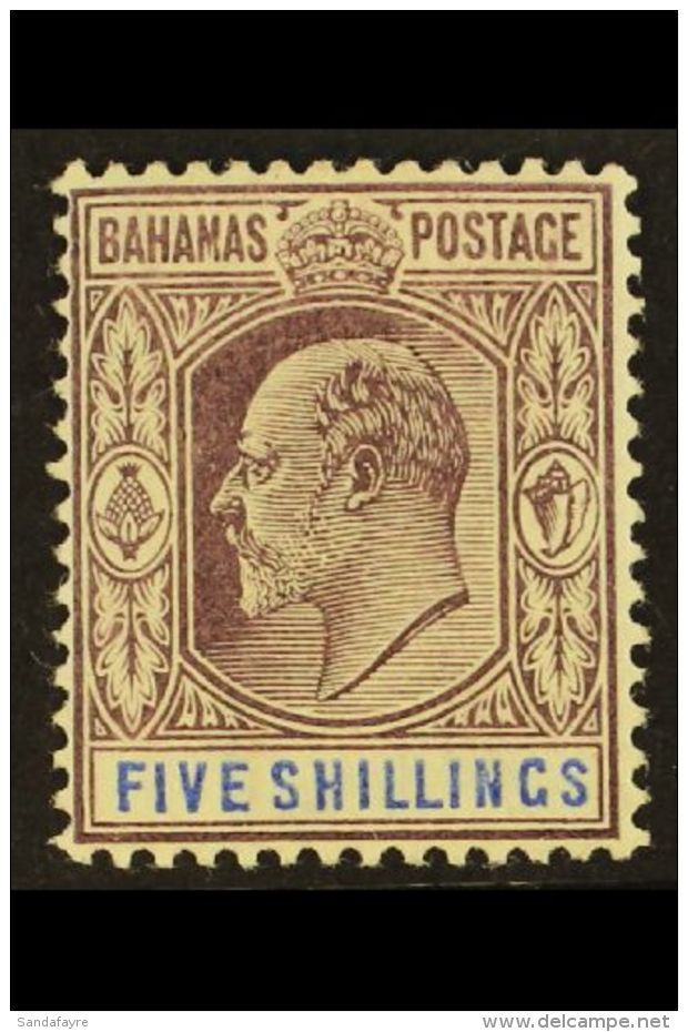 1902-10 5s Dull Purple &amp; Blue, SG 69, Very Fine Mint, Fresh. For More Images, Please Visit... - Sonstige & Ohne Zuordnung