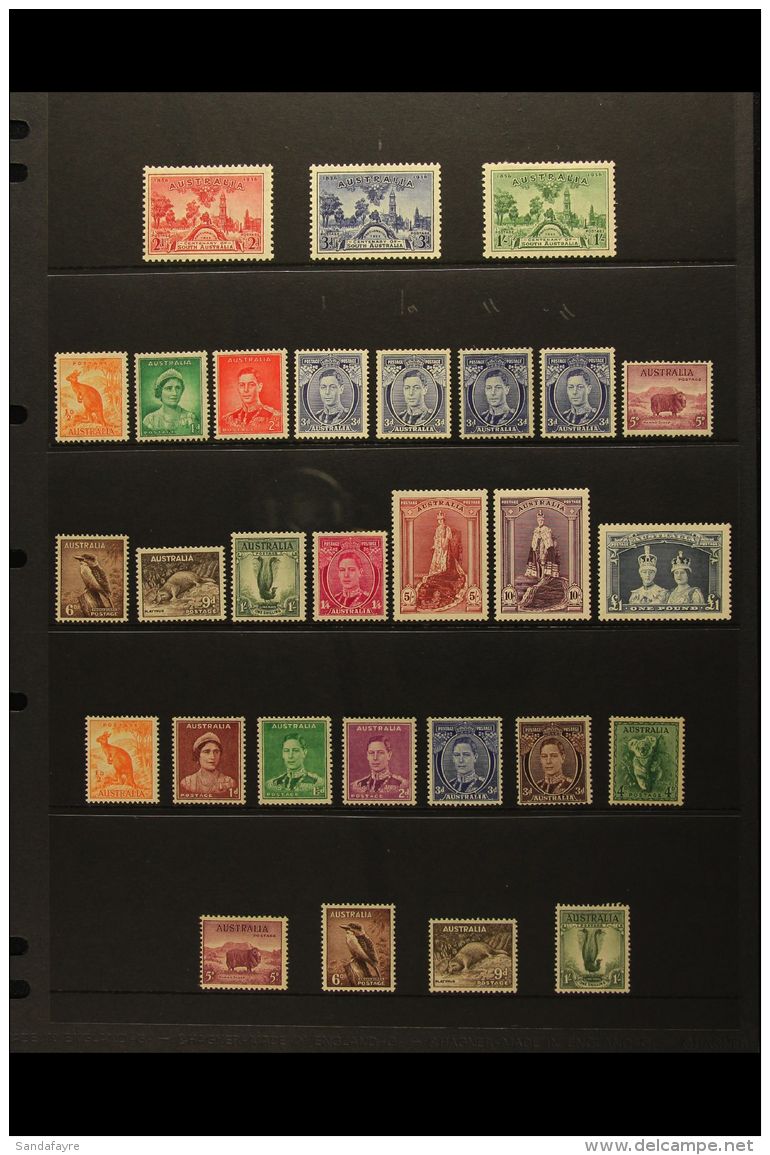 1936-49 VERY FINE MINT SELECTION Presented On A Stock Page. Includes 1936 South Australia Centenary Set, Defins... - Otros & Sin Clasificación